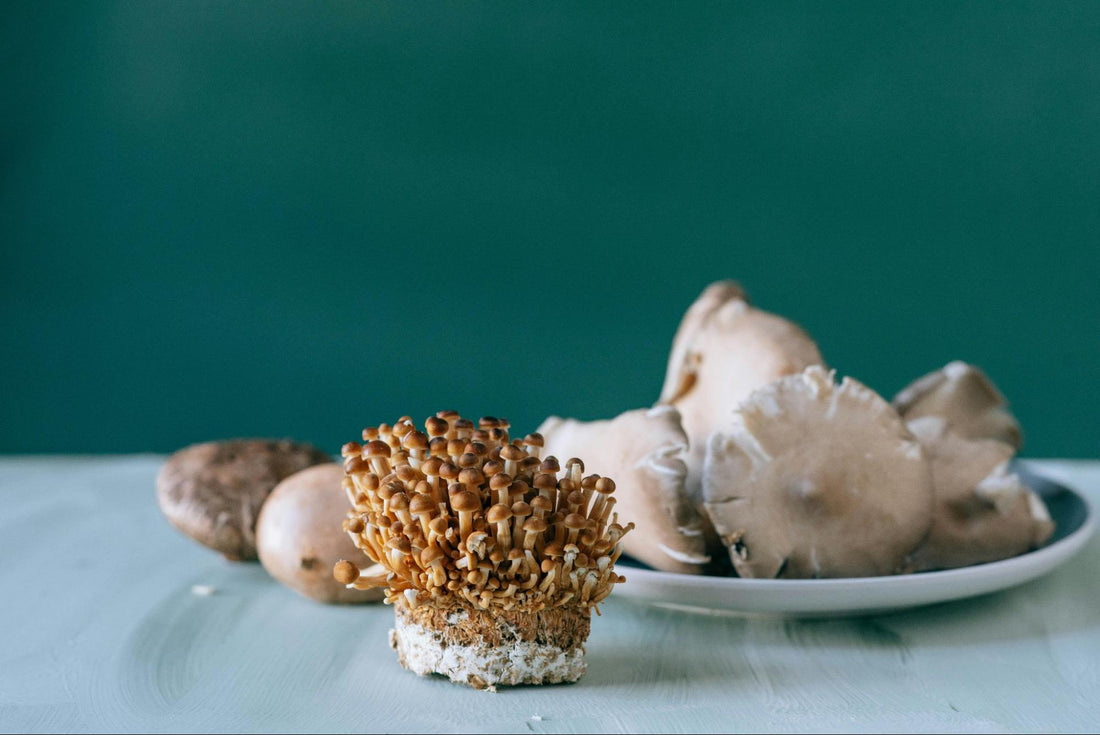 Mushrooms on a Table