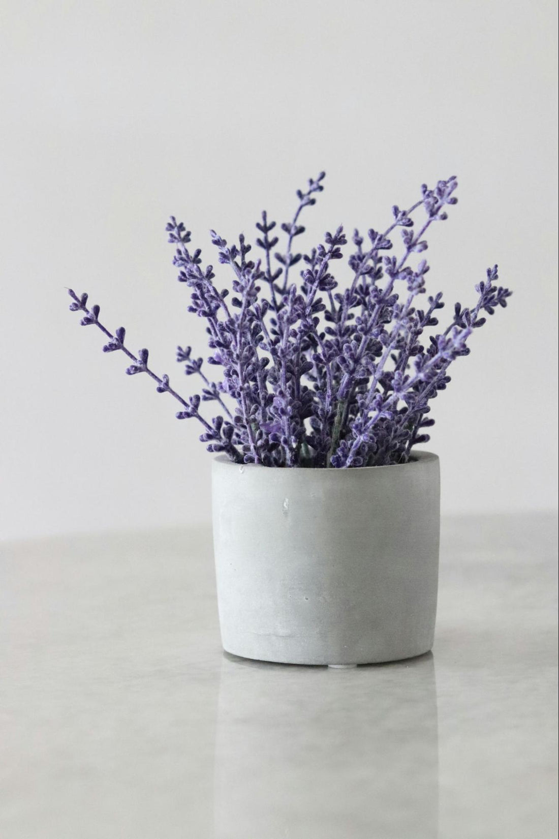 Lavender in a Jar