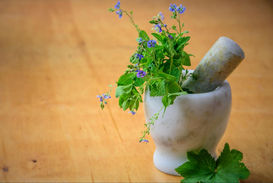 Mortar and Pestle with Herbs