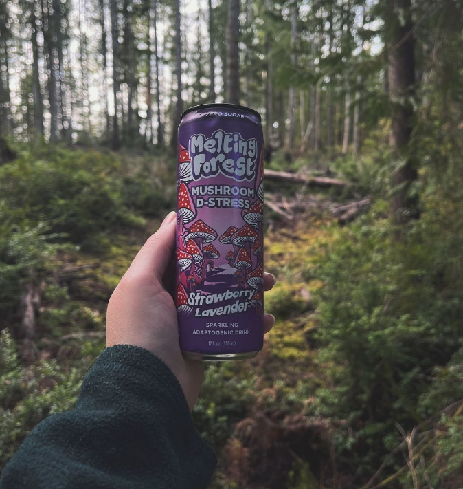 A hand holding a mushroom drink in a forest.