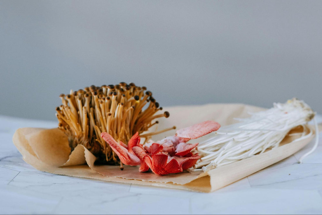 Mushrooms on a Piece of Parchment