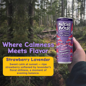 In a forest, someone holds a can of Mushroom D-Stress Drink 12 Pack - Strawberry Lavender. "Where Calmness Meets Flavor" highlights this stress relief drink with sweet strawberry and calming lavender for peaceful refreshment.