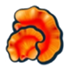 Organic Reishi β-glucan