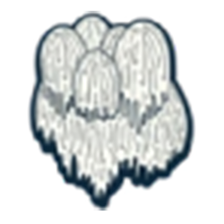 Organic Lion's Mane β-glucan