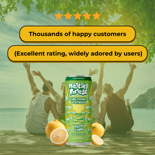 Mushroom D-Stress Drink 12 Pack - Yuzu Lime