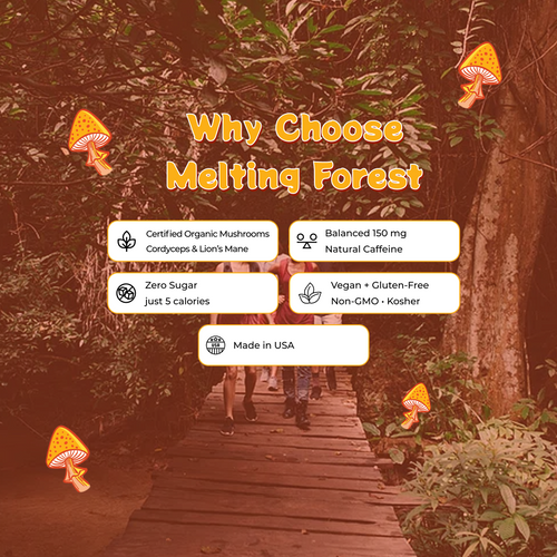 Mushroom Energy Drink 12 Pack - Orange Cream