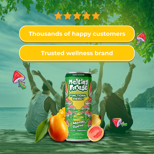 Mushroom Energy Drink 12 Pack - Mango Guava