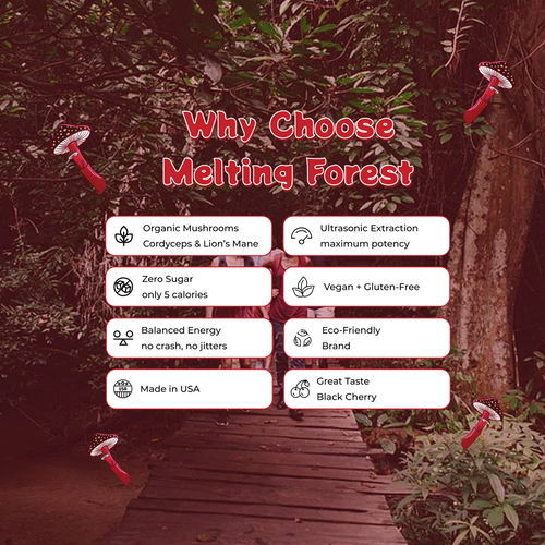 Mushroom Energy Drink 12 Pack - Black Cherry