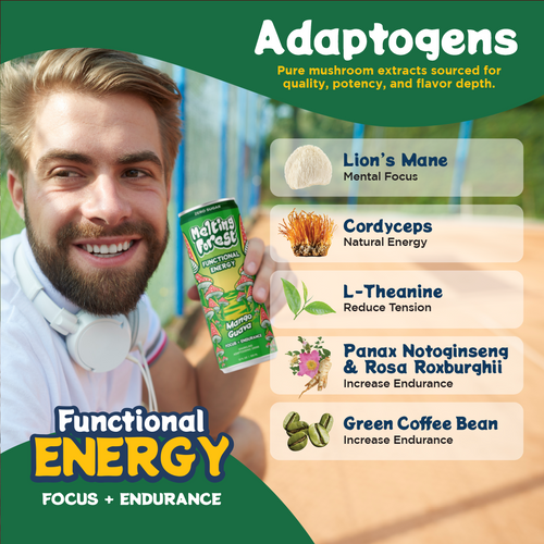 Mushroom Energy Drink 12 Pack - Mango Guava