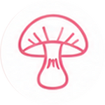 Reishi & Magnesium