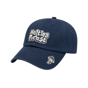 Melting Forest Hat - Navy - front angle
